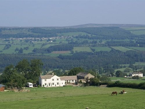Capple Bank Farm Bed & Breakfast Wensley Eksteriør bilde
